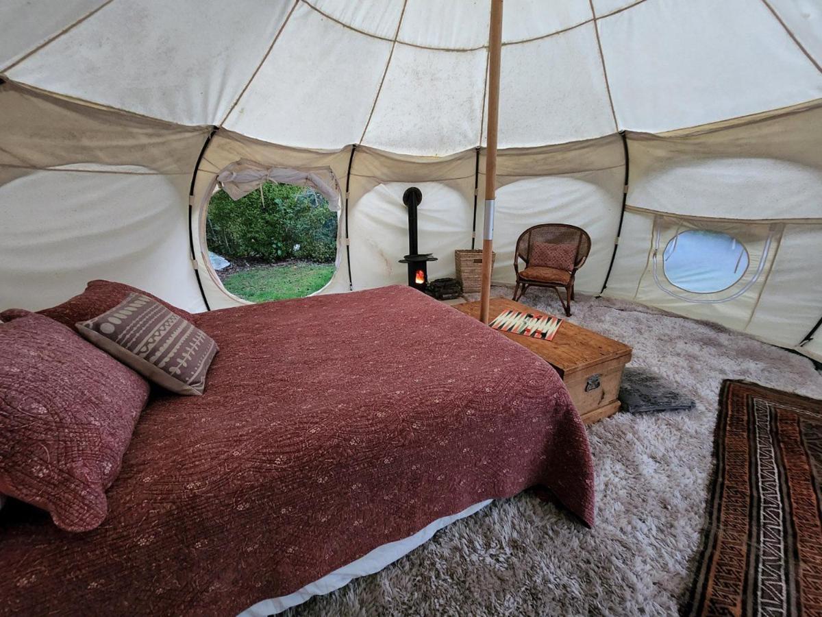 Possum Lodge Manapouri Luaran gambar